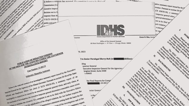 Watchdog Uncovers at Least $7.2M in PPP Loan Fraud by Illinois State ...